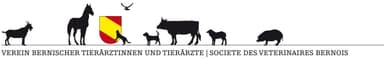 logo-vbt-header.jpg